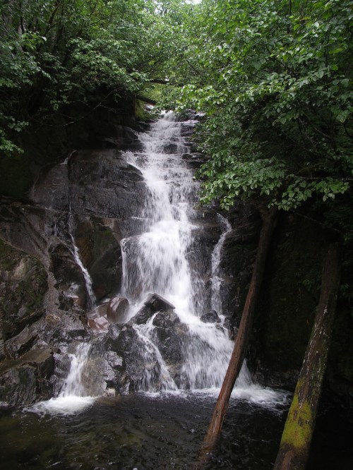 A serene waterfall cascading over rocks, surrounded by lush green foliage and trees.
