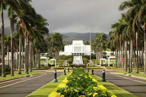 A grand building surrounded by palm trees and a landscaped pathway, set against a cloudy mountain backdrop.