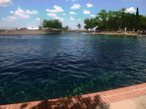 A serene blue pond surrounded by trees and a grassy area, with people enjoying the water on a sunny day.