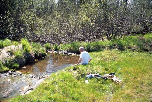 A person sits by a small stream, surrounded by lush greenery and trees, enjoying a peaceful moment in nature.