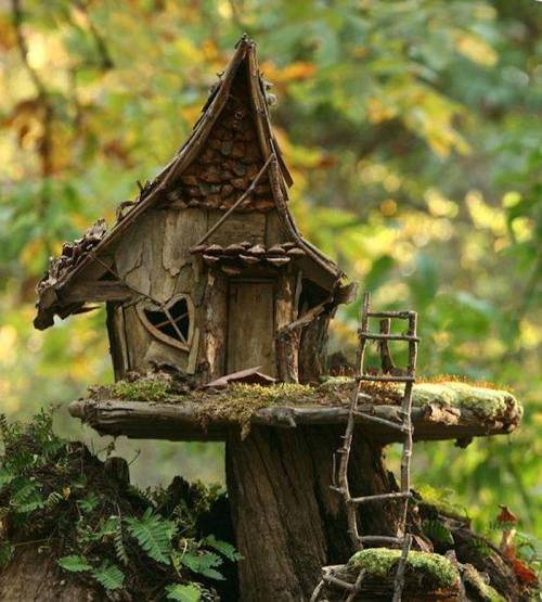 A whimsical miniature wooden house nestled in a forest, complete with a ladder and surrounded by greenery.