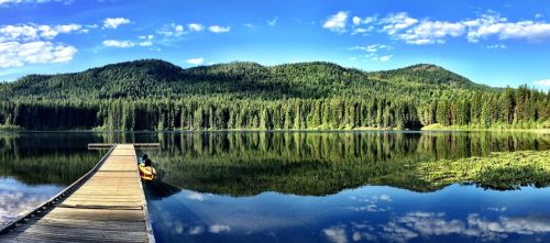 A serene lake surrounded by lush green trees and mountains, reflecting the blue sky and clouds. A wooden dock extends into the water.