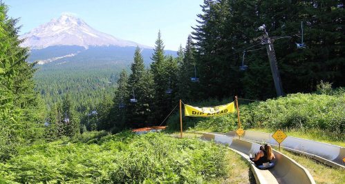 A scenic view of a mountain with a summer slide and chairlift in a lush green forest. A sign reads "Dip Ahead."