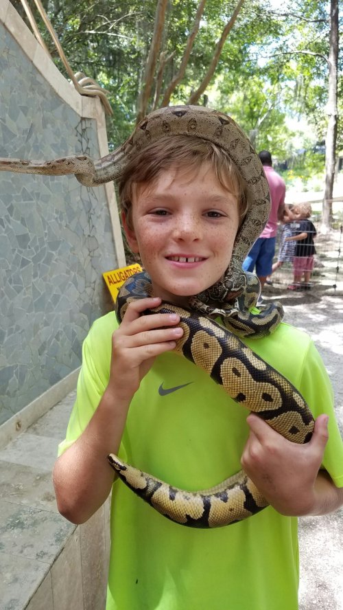 A smiling boy in a green shirt holds a snake while another snake rests on his head in a natural setting.
