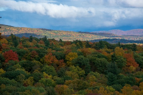 A vibrant landscape of autumn trees with colorful foliage, rolling hills, and a cloudy sky in the background.