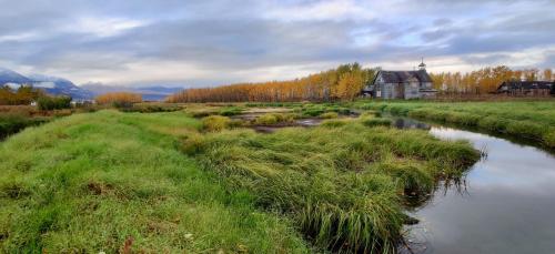 A serene landscape featuring a winding stream, lush green grass, and trees with autumn foliage under a cloudy sky.