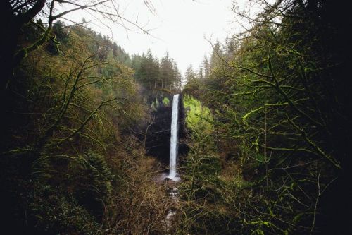 A tall waterfall cascades down a rocky cliff, surrounded by lush green trees and a misty atmosphere.