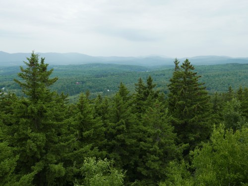 A panoramic view of lush green forests and distant mountains under a cloudy sky.