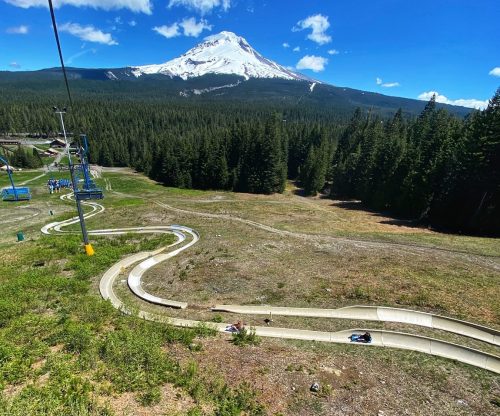 A scenic view of a mountain with snow-capped peaks, overlooking a winding summer luge track and lush green forest.