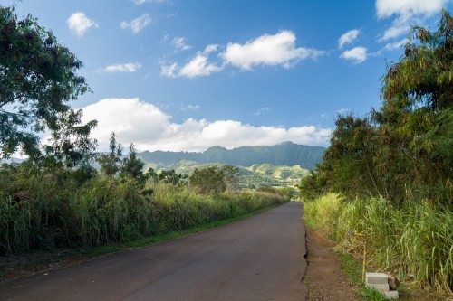 A scenic road lined with greenery, leading towards mountains under a blue sky with scattered clouds.