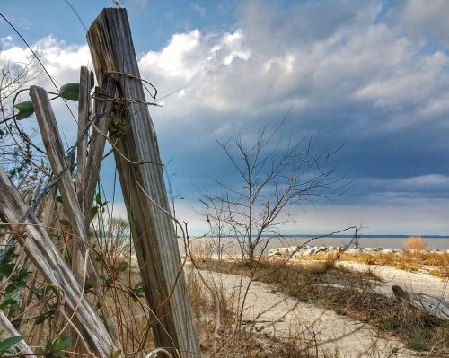 A weathered fence post with vines, overlooking a sandy path and calm water under a cloudy sky.