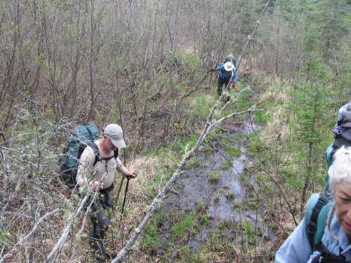 Two hikers navigate a muddy trail surrounded by sparse vegetation and trees.