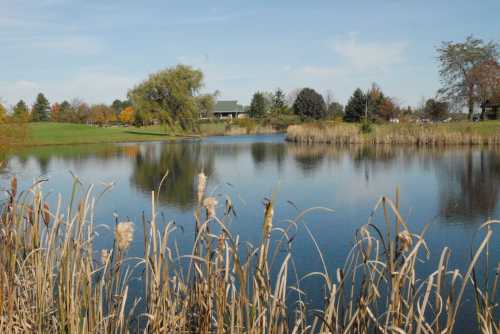 A serene pond surrounded by tall grasses and trees, reflecting a clear blue sky and colorful autumn foliage.