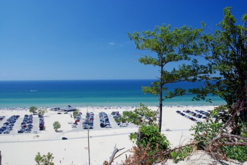 A scenic view of a beach with cars parked, clear blue water, and a bright sky, framed by trees in the foreground.