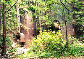 Abandoned industrial structures surrounded by dense greenery and trees in a forested area.