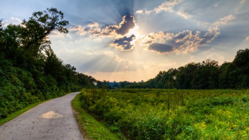 A scenic pathway through lush greenery under a dramatic sky with rays of sunlight breaking through the clouds.