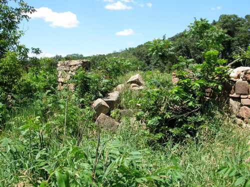 Overgrown ruins of a stone structure surrounded by tall grass and trees under a blue sky with scattered clouds.