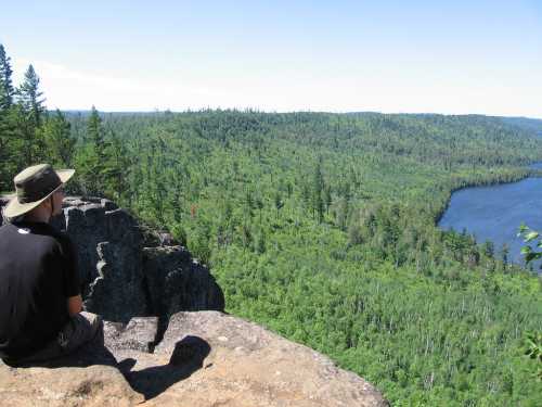 A person sits on a rocky ledge, overlooking a lush green forest and a winding river under a clear blue sky.