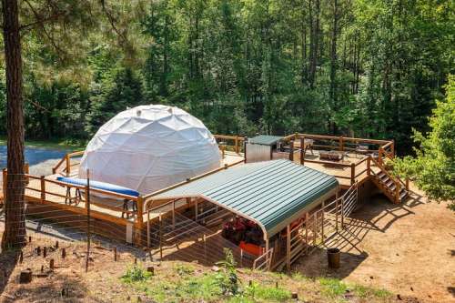 A geodesic dome structure on a wooden deck surrounded by trees, with a covered area and outdoor seating.
