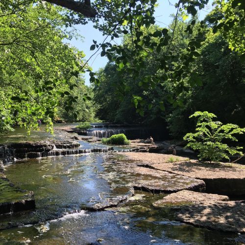 A serene landscape featuring a flowing stream, rocky banks, and lush green trees under a clear blue sky.