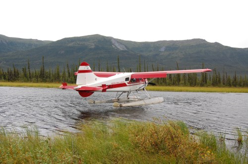 A red and white seaplane lands on a calm lake surrounded by green trees and mountains in the background.