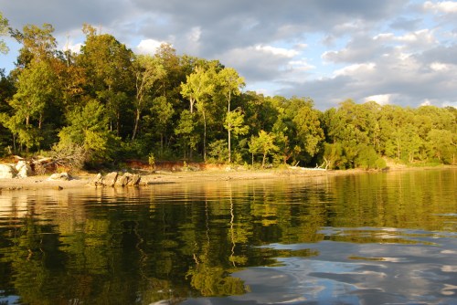 A serene lakeside scene with trees reflecting on calm water under a partly cloudy sky.