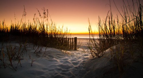 A serene beach scene at sunset, with tall grass framing a sandy path leading to the ocean.