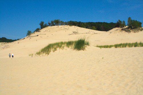 Two people walk on a sandy dune under a clear blue sky, with greenery and trees in the background.