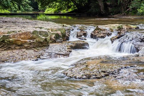 A serene river scene with flowing water over rocky terrain, surrounded by lush greenery and trees.