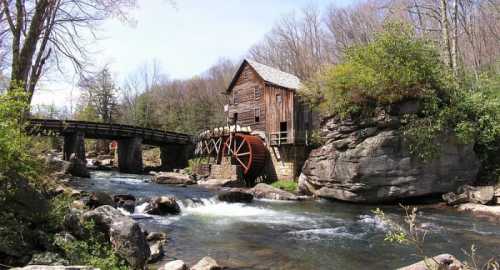 A rustic wooden mill with a water wheel beside a flowing river, surrounded by trees and rocky terrain.