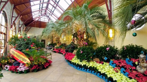 A vibrant indoor garden filled with colorful flowers, tropical plants, and festive decorations under a glass roof.