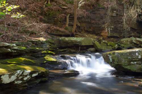 A serene stream flows over moss-covered rocks in a tranquil forest setting.