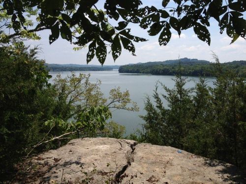 A serene view of a lake surrounded by lush greenery and distant hills under a clear sky.