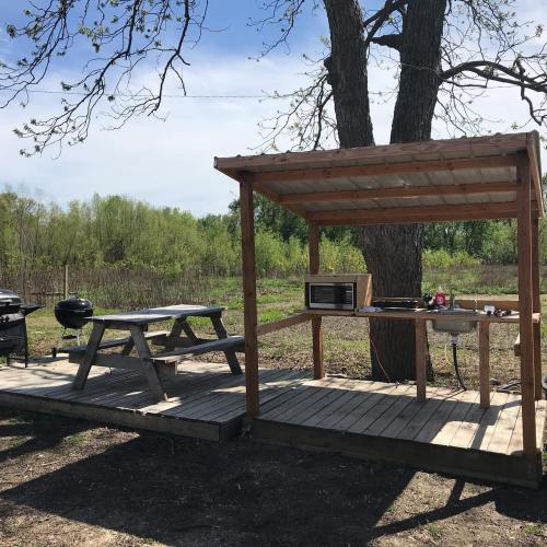 A wooden outdoor shelter with a picnic table, grill, and microwave, surrounded by greenery and blue sky.