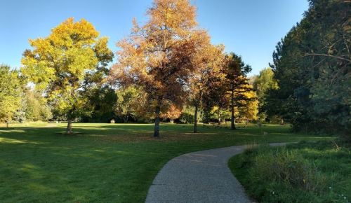 A winding path through a park with trees displaying autumn colors under a clear blue sky.