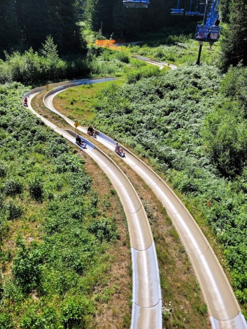 Aerial view of a winding summer slide surrounded by lush greenery and trees, with people enjoying the ride.