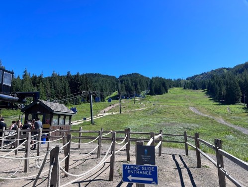 A sunny mountain landscape with a ski lift, grassy slopes, and a sign for the Alpine Slide entrance.