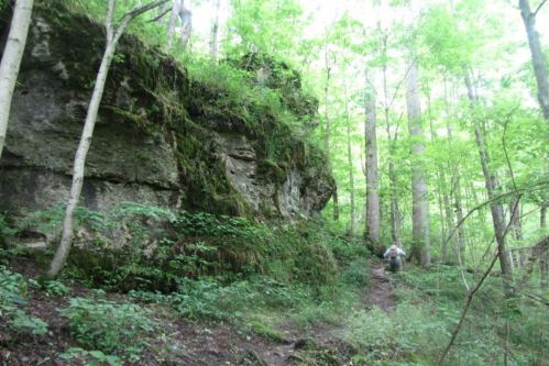 A hiker ascends a rocky trail surrounded by lush green trees and moss-covered rocks in a forested area.