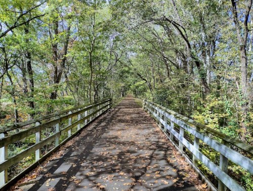 A serene pathway through a lush, tree-lined area, with fallen leaves on the ground and a wooden railing on either side.