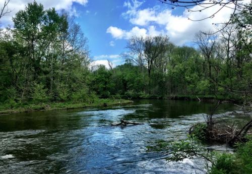 A serene river flows through a lush green landscape under a partly cloudy blue sky.