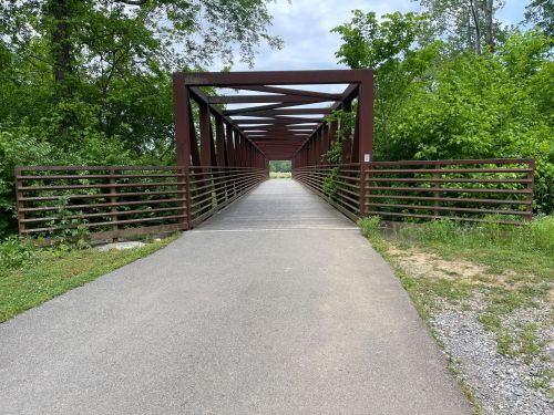 A metal bridge with a wooden railing spans a path through lush greenery under a cloudy sky.