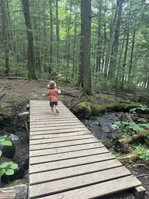 A child walks across a wooden bridge in a lush green forest, surrounded by trees and a small stream.
