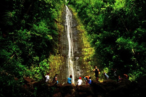 A group of people gathered near a lush waterfall surrounded by dense greenery in a tropical forest.