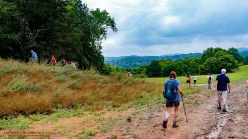 A group of hikers walks along a trail in a lush, green landscape under a cloudy sky.