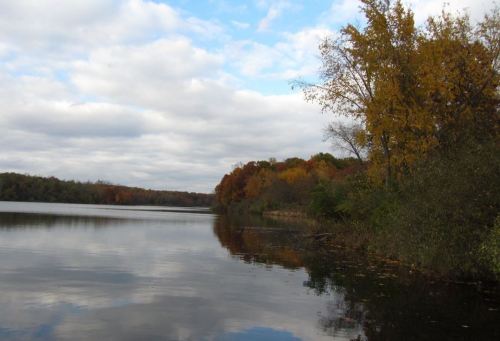 A serene lake surrounded by trees with autumn foliage under a cloudy sky, reflecting on the water's surface.