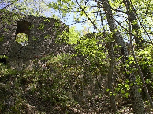 Ruins of a stone structure surrounded by trees and greenery on a hillside under a clear blue sky.