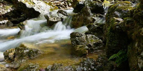 A serene stream flows over smooth rocks, surrounded by lush greenery and moss in a tranquil natural setting.