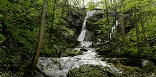 A serene waterfall cascades down rocky cliffs, surrounded by lush green trees and foliage.