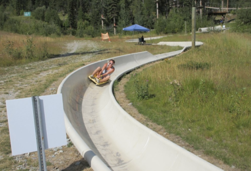 A person slides down a curved luge track surrounded by greenery and trees on a sunny day.