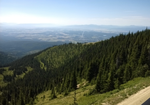 A panoramic view of a lush green hillside with dense coniferous trees and a distant valley under a clear blue sky.